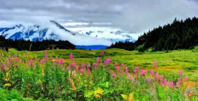 Anchor Dental in Anchorage