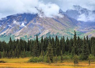 Eagle River Dental in Eagle River