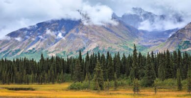 Eagle River Dental in Eagle River