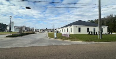 Little Bee Pediatric Dentistry in Hammond